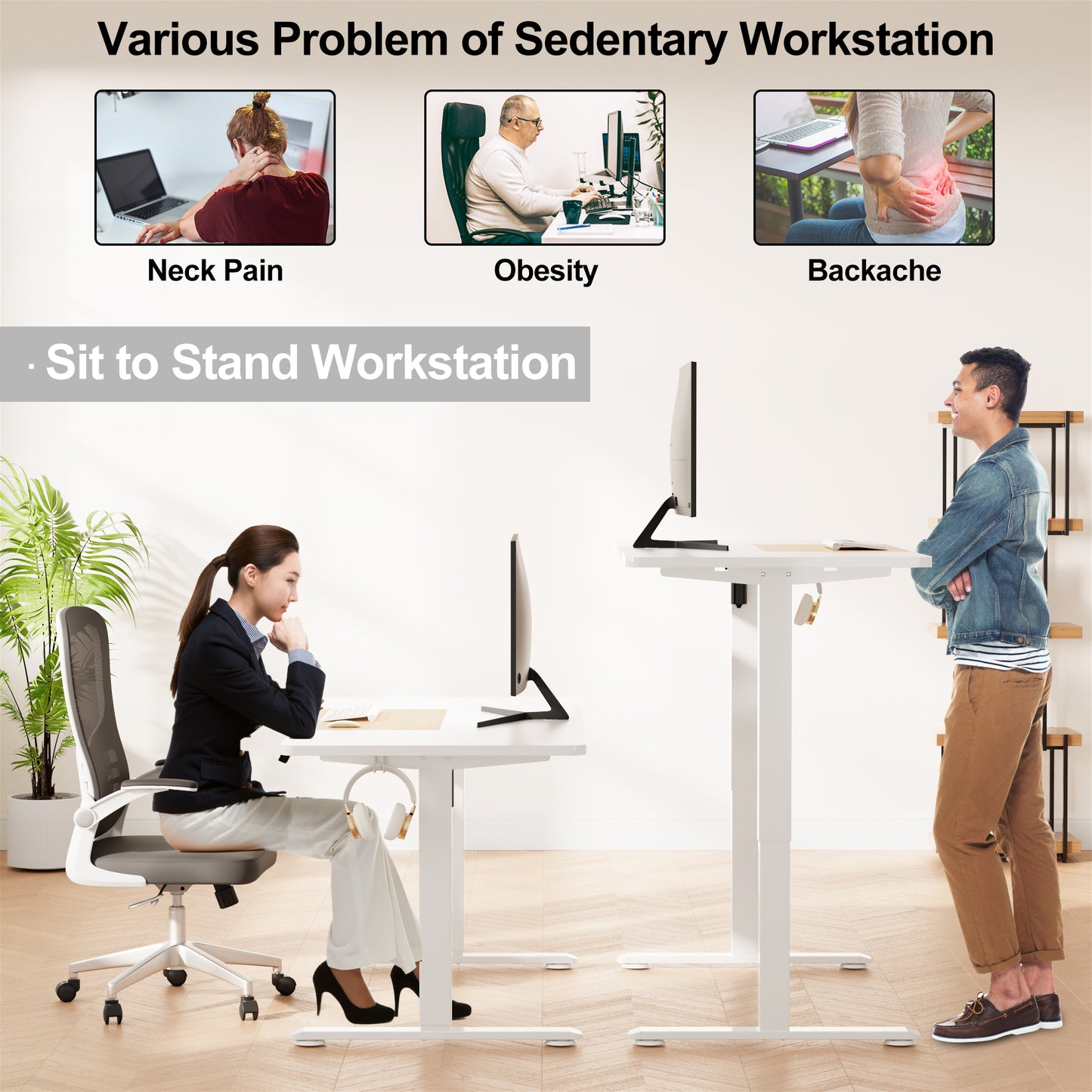 WOKA Electric Height Adjustable Electric Standing Desk, 55 x 28 Inch Sit Stand Desk with Memory Controllers, Stand up Desk for Home Office, White and Oak Tabletop WD104-W49
