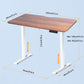 Walnut Top 48"x24" height adjustable standing desk