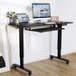 Electric Standing Desk for Home Office