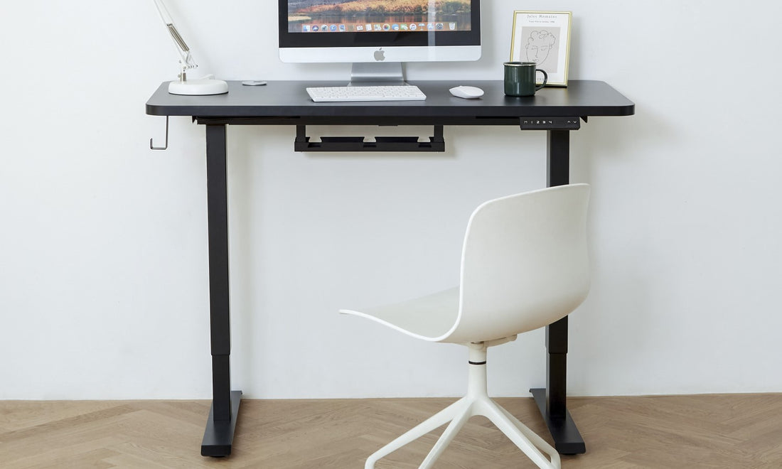 Introducing WOKA Electric Standing Desk With Dual Motor