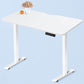 White WOKA 48"x24" Electric Height Adjustable Standing Desk with Dual Motors