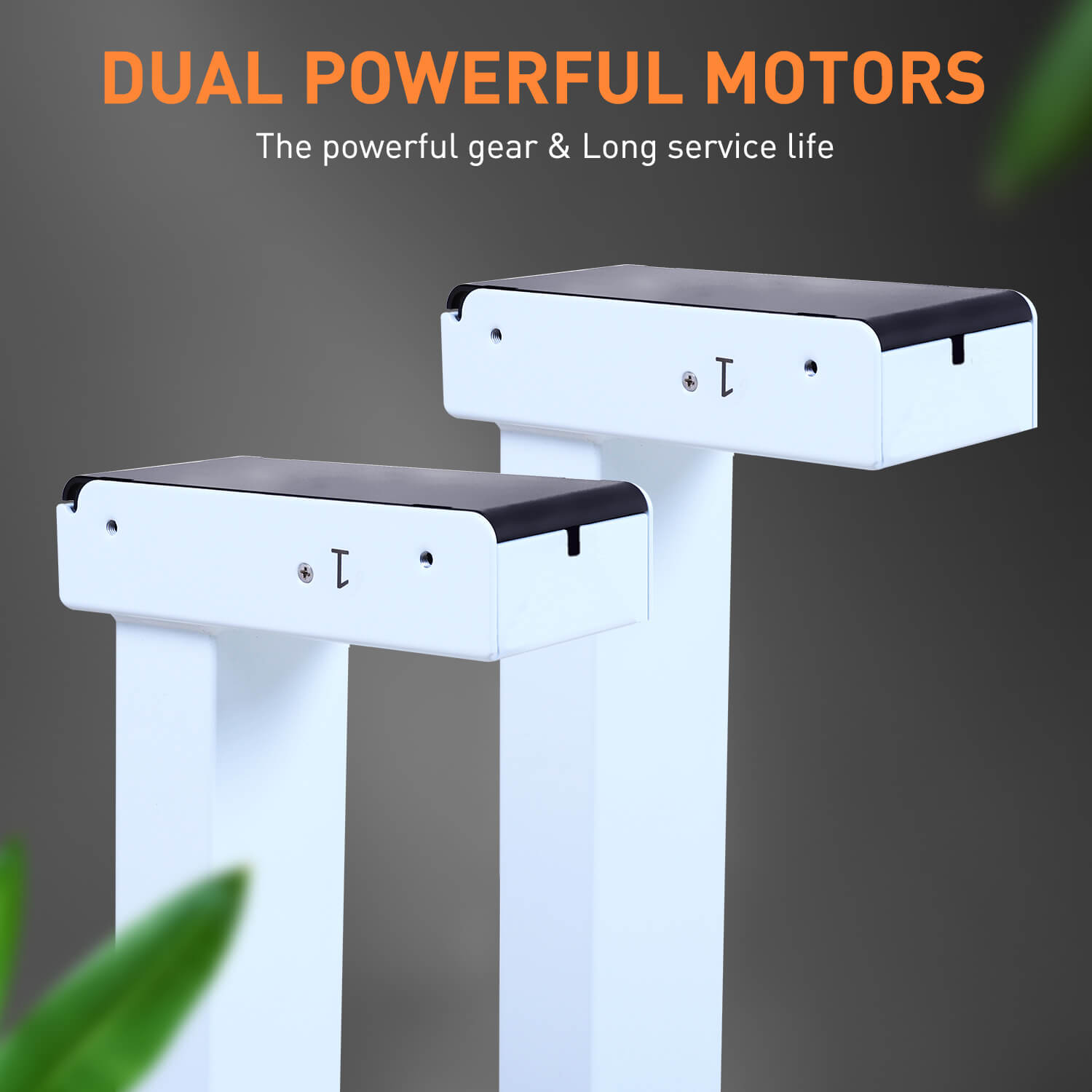Walnut stand up desk operated by dual motors