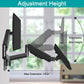 Dual Arms wall mount for monitor with height adjustment and extension
